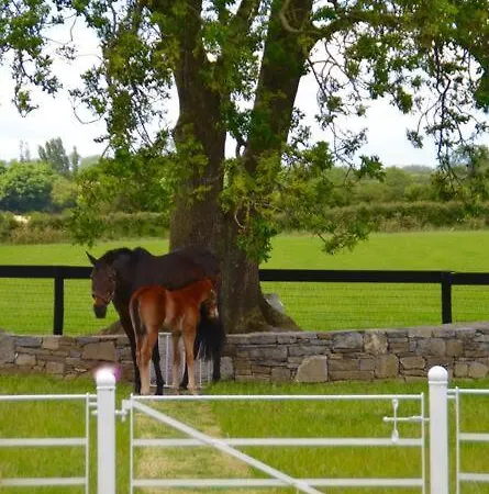 The Stable, Bennettsbridge, Kilkenny