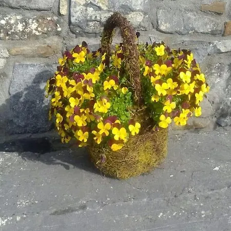 The Stable, Bennettsbridge, Kilkenny Bennettsbridge
