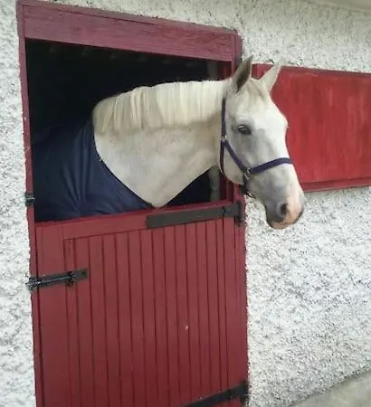 The Stable, Bennettsbridge, Kilkenny בית נופש Bennettsbridge