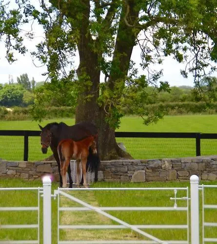 The Stable, Bennettsbridge, Kilkenny