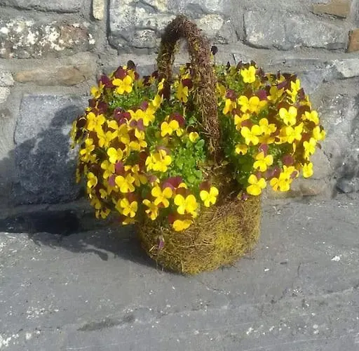 The Stable, Bennettsbridge, Kilkenny Bennettsbridge