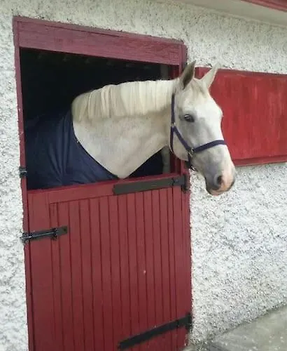 The Stable, Bennettsbridge, Kilkenny בית נופש Bennettsbridge